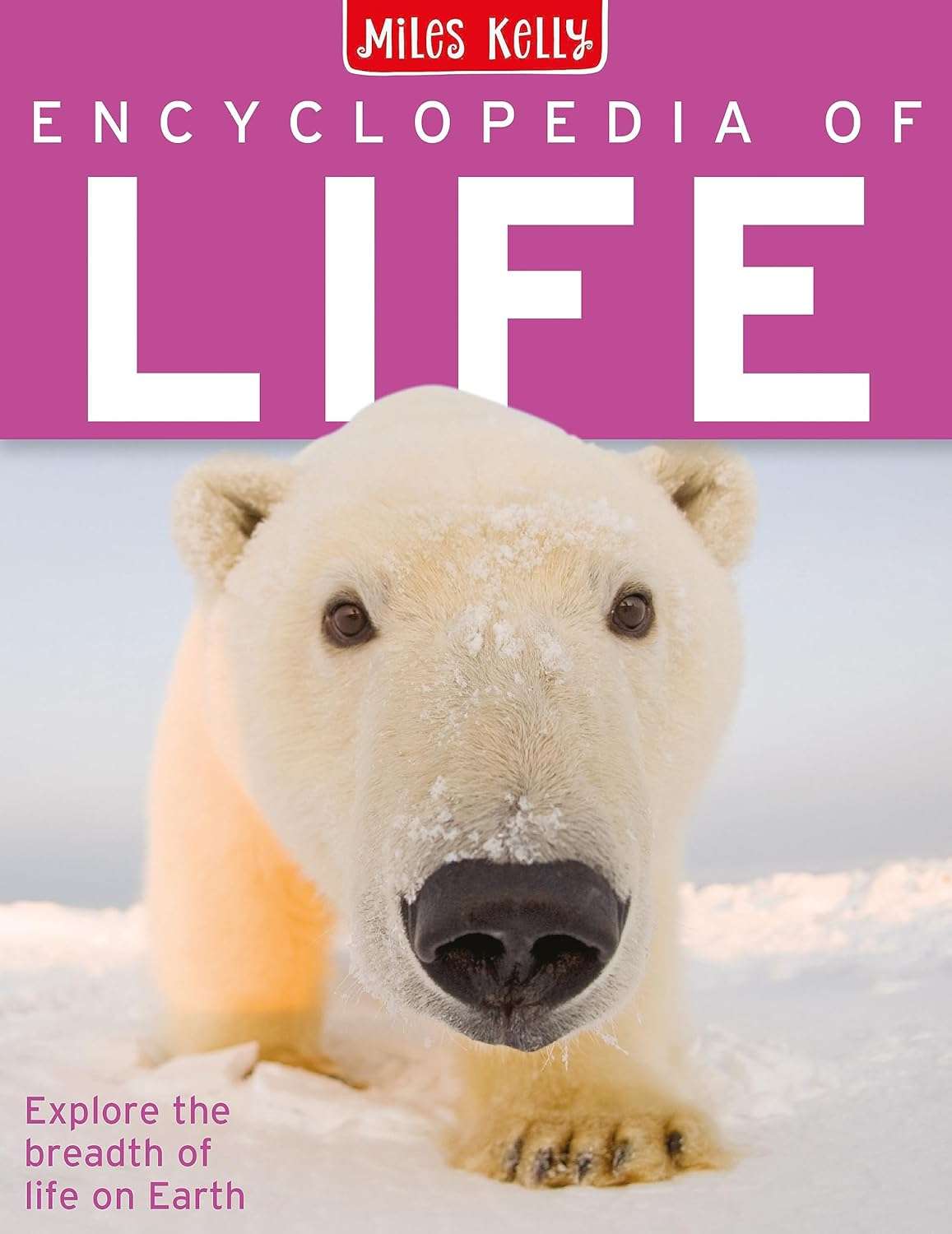 Encyclopedia of Life By Rosie Neave