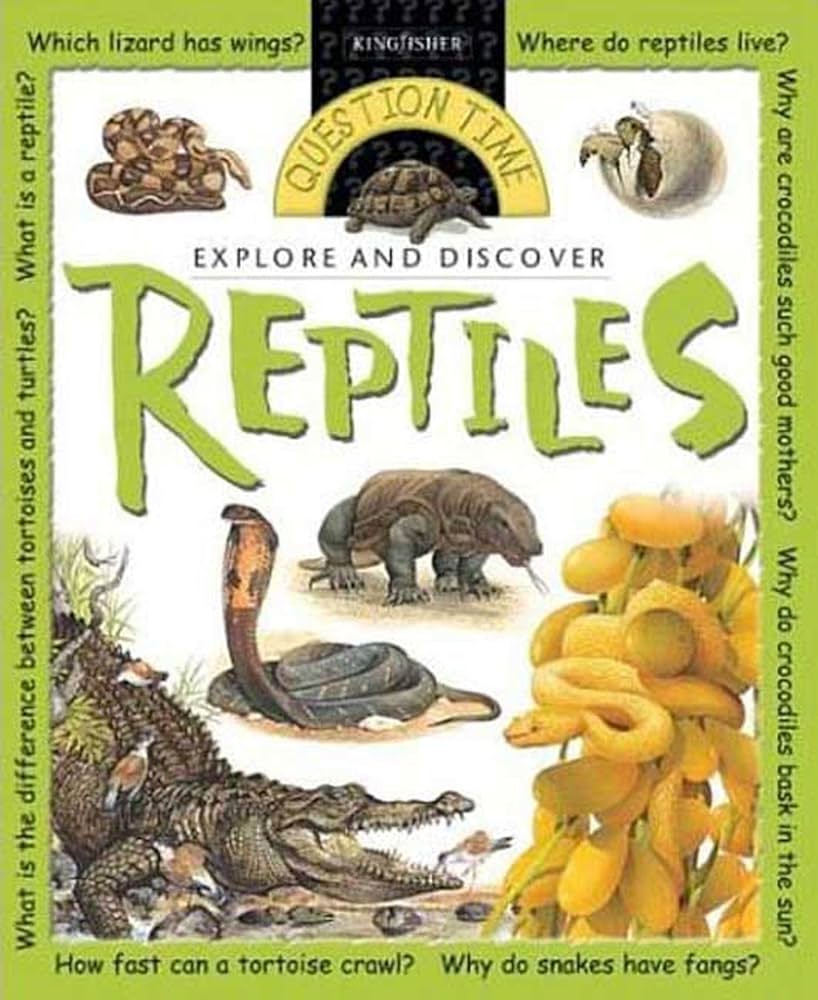 Explore and Discover: Reptiles: Reptiles (Question Time) Hardcover By Angela Wilkes buy used books online
