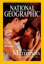 NATIONAL GEOGRAPHIC MAGAZINE (THE RISE OF MAMMALS) online second hand books