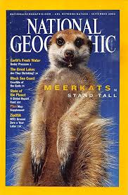 National Geographic Magazine (Meerkats Stand Tall) buy used books online
