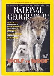 National Geographic Magazines (WOLF TO WOOF) buy used books online