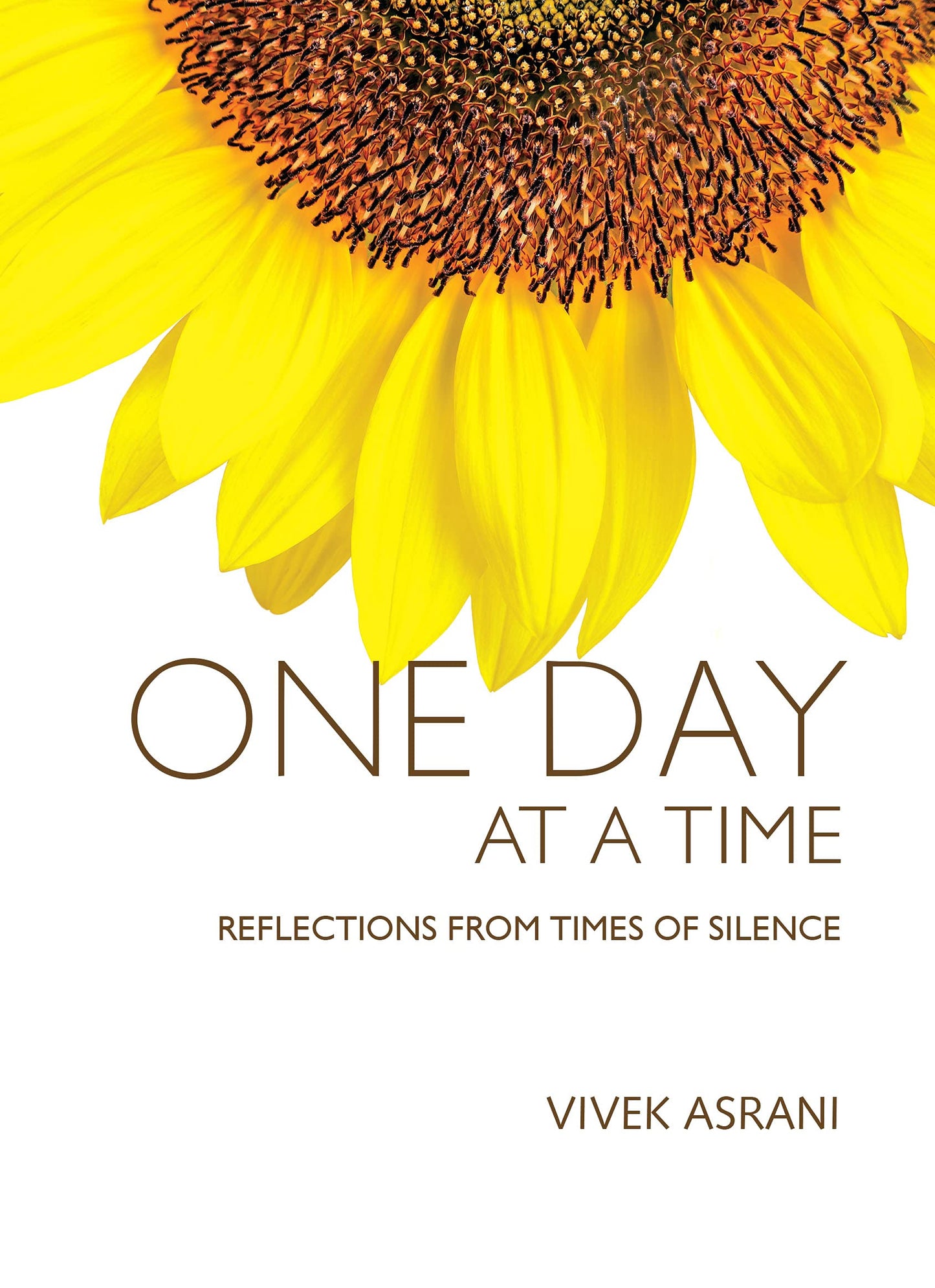 One Day at a Time Hardcover By Vivek Asrani