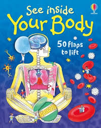 See Inside Your Body By Katie Daynes