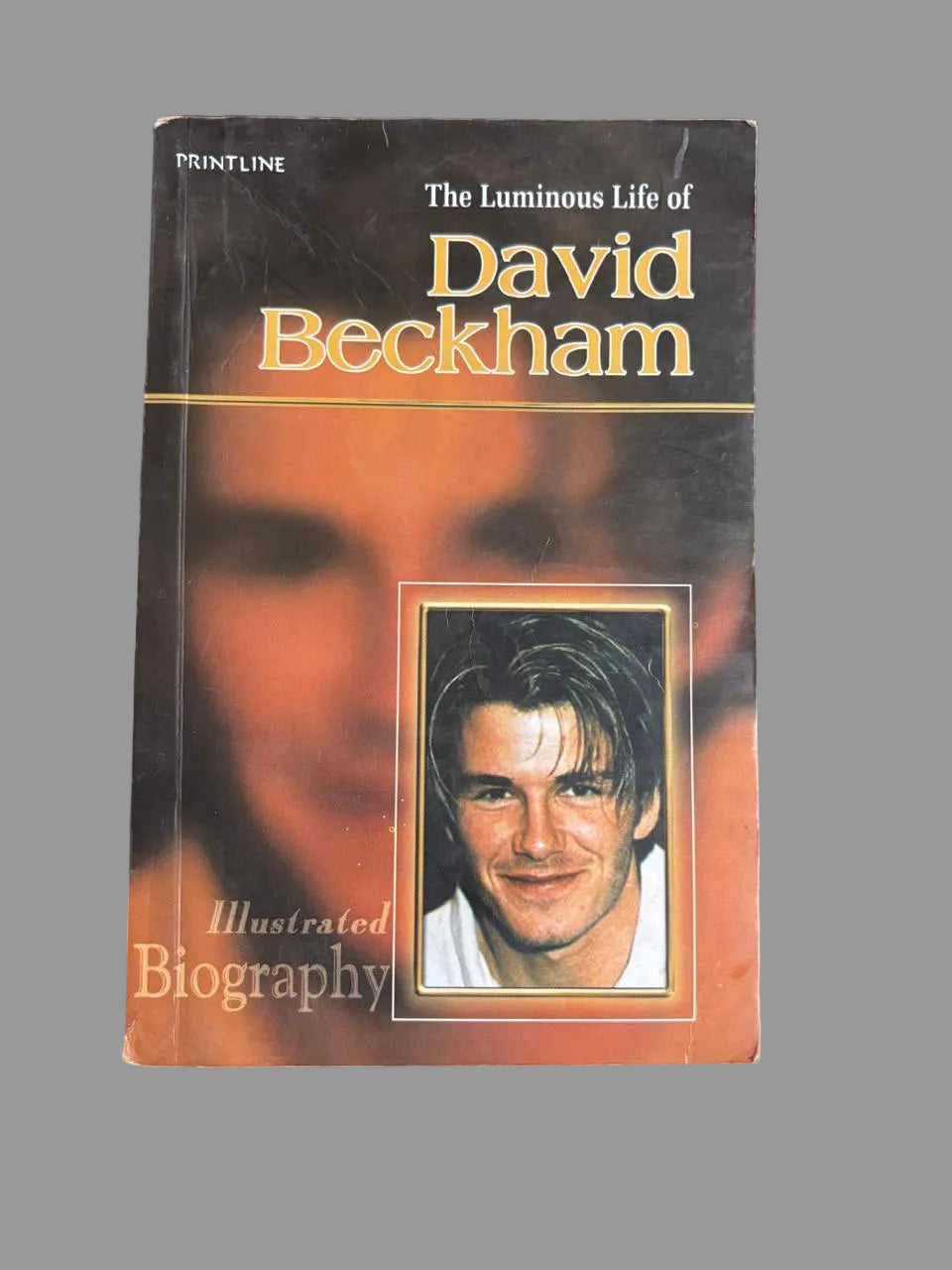 The Luminous Life of David Beckham buy used books online