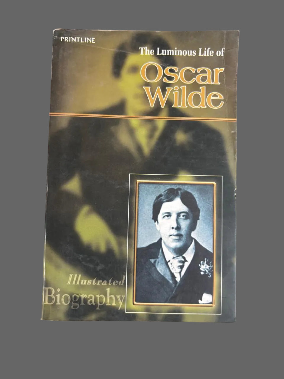 The Luminous Life of Oscar Wilde second hand books online
