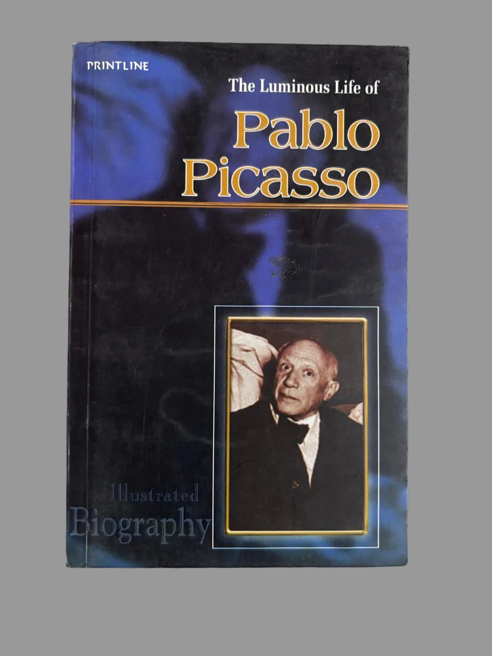 The Luminous Life of Pablo Picasso online second hand books