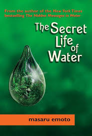 The Secret Life of Water Paperback by Masaru Emoto