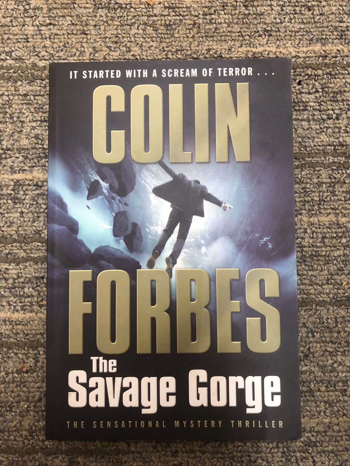 The Savage Gorge by Colin Forbes