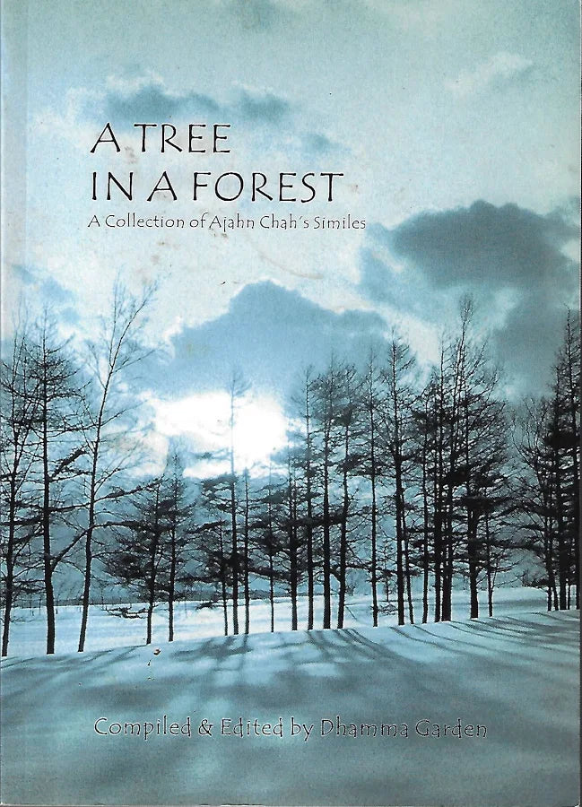 A Tree in a Forest By Dhamma Garden buy online used book 