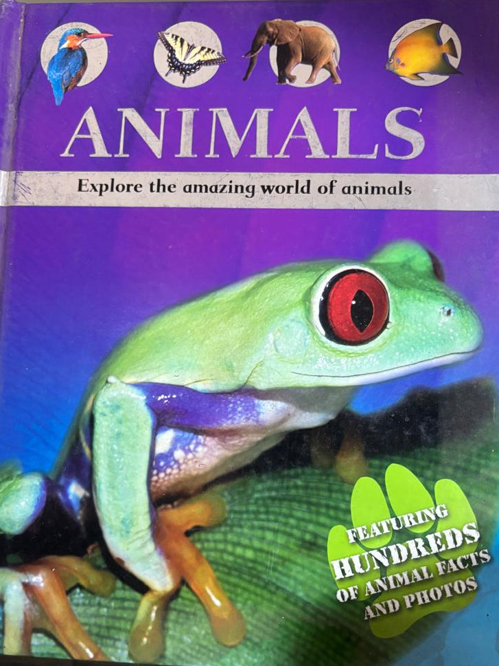 Animals Explore The Amazing World Of Animals Hardcover By Parragon Book Service Ltd.   buy used books online
