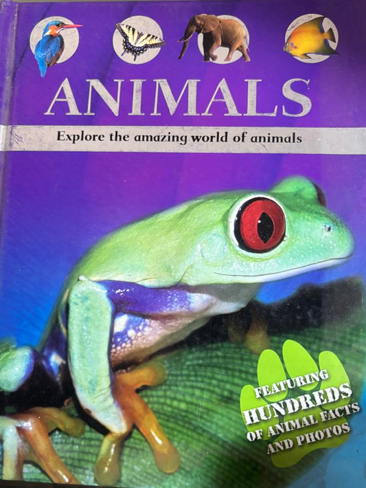 Animals Explore The Amazing World Of Animals Hardcover By Parragon Book Service Ltd.   buy used books online