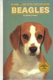 BEAGLES by B. PISANO DOG GUIDE Hardcover (Rare)