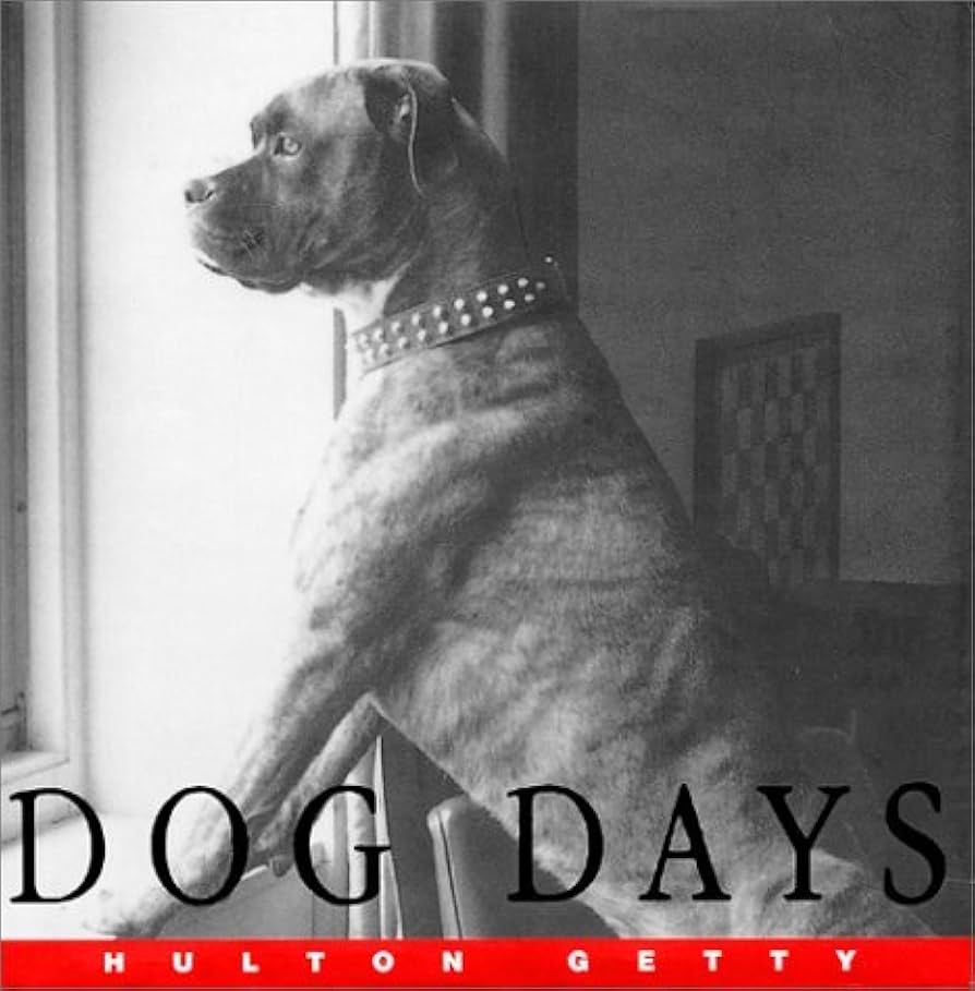 Dog Days by Hulton Getty  by Hulton Getty