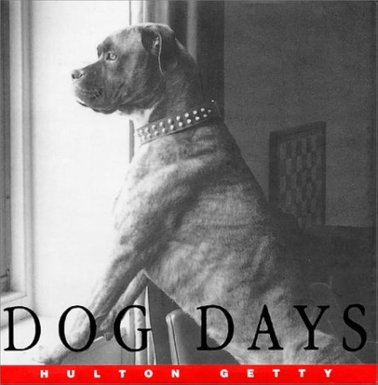 Dog Days by Hulton Getty  by Hulton Getty