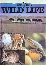 Encyclopaedia of Wild Life Hardcover By Cathy Kilpatrick (Rare)     second hand books online