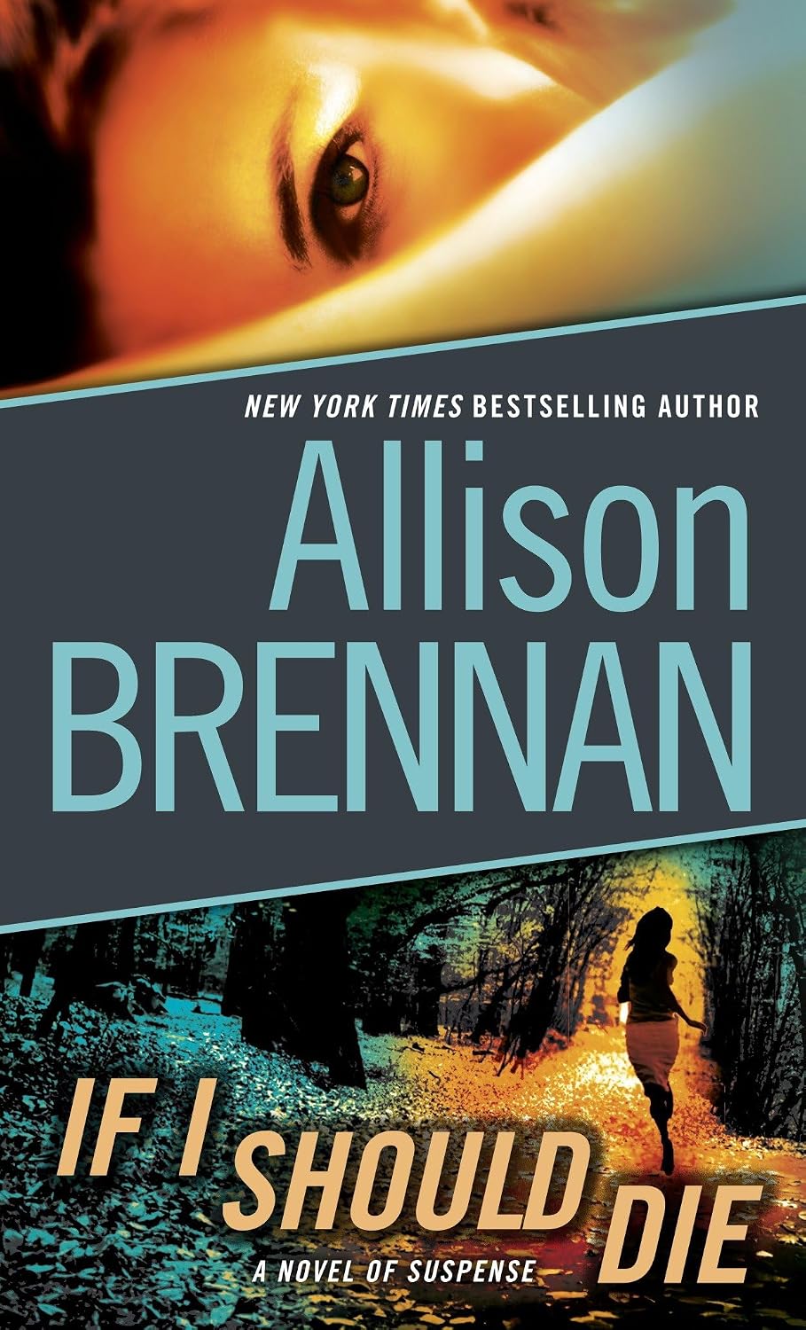 If I Should Die  By Allison Brennan