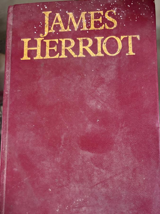 If Only They Could Talk It Shouldn't Happens to a Vet By JAMES HERRIOT    second hand books online