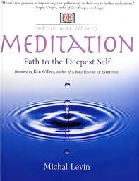 Meditation Paperback by Michal Levin