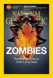 N.G.M National Geography Magazine November 2014