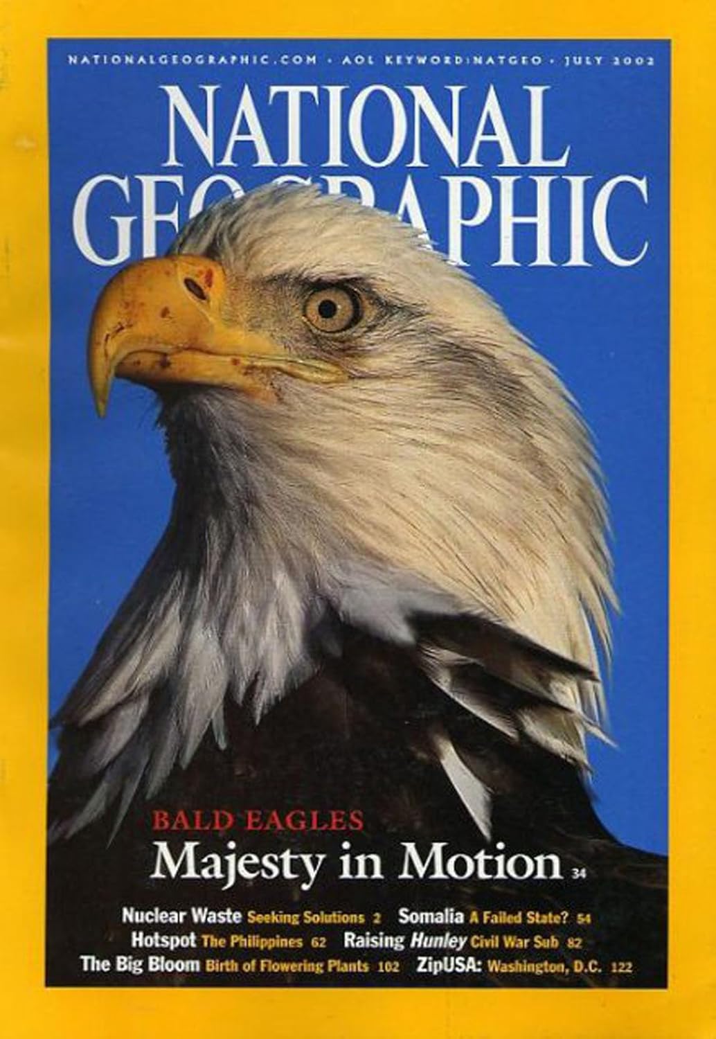National Geographic Magazine  (BALD EAGLES Majesty in Motion)  buy used books online