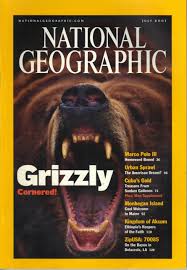 National Geographic Magazine (Grizzly Cornered)   second hand books online