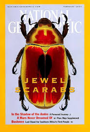 National Geographic Magazine (JEWEL SCARABS)   buy used books online