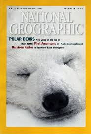 National Geographic Magazine (POLAR BEARS)    second hand books online