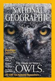 National Geographic Magazine  (The Magic of Snowy OWLS)  second hand books online