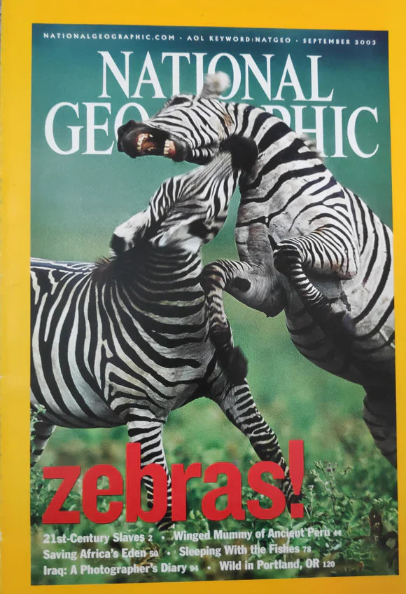 National Geographic Magazine (Zebras!)   buy used books online