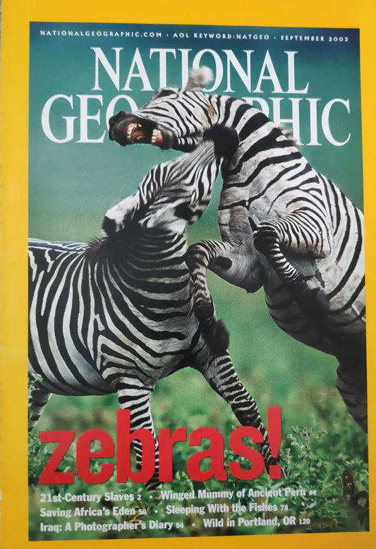 National Geographic Magazine (Zebras!)   buy used books online