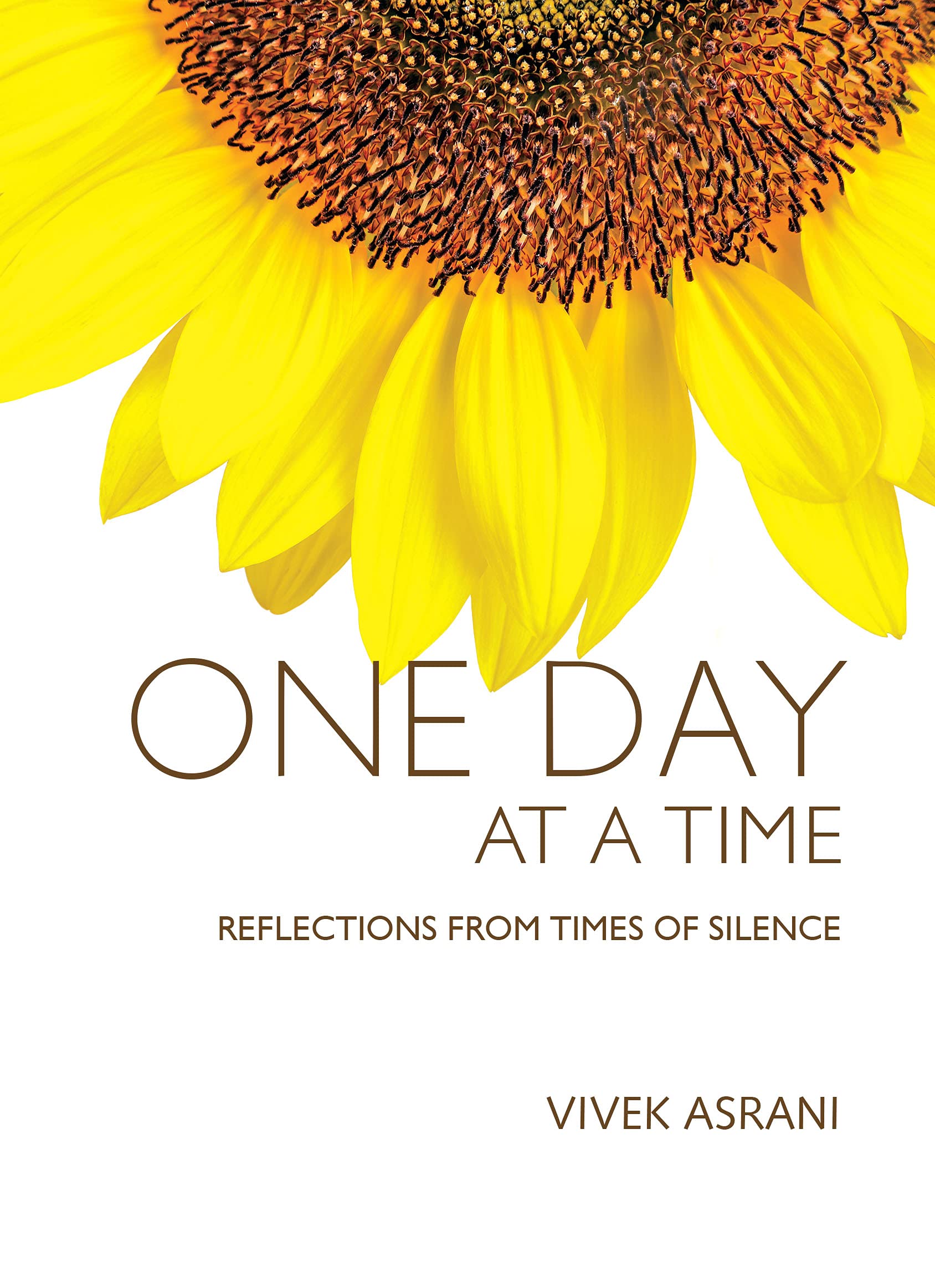 One Day at a Time Hardcover By Vivek Asrani 