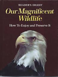 Our Magnificent Wildlife: How to Enjoy and Preserve It Hardcover By Reader's Digest ( Rare )     second hand books online