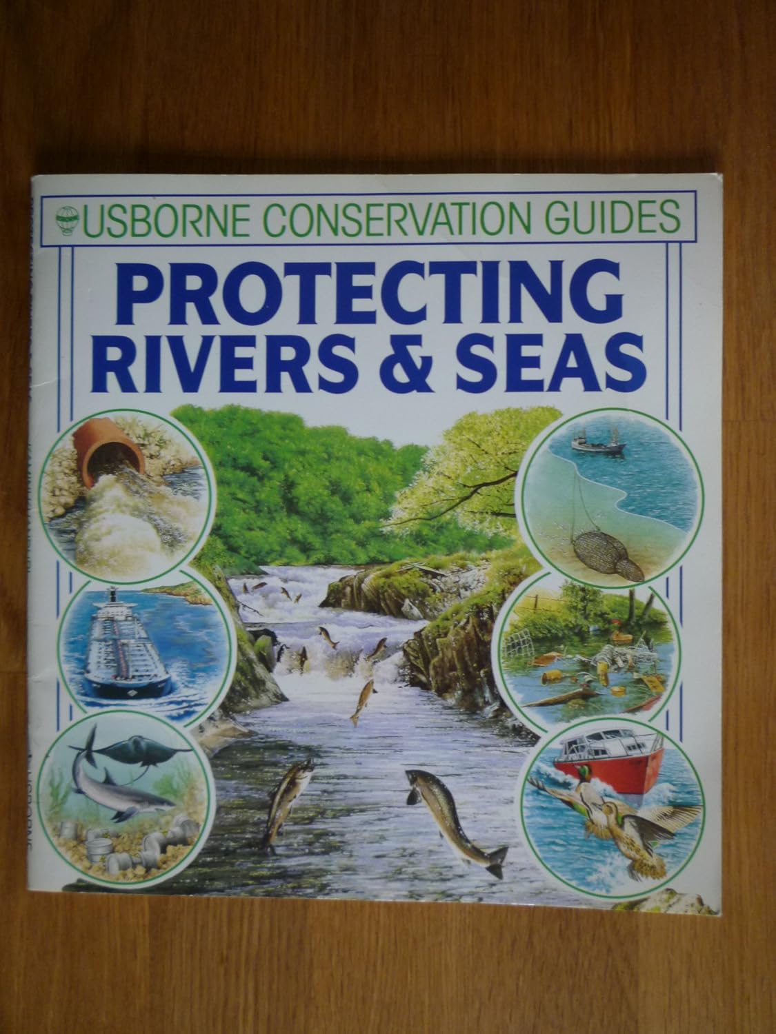 Protecting Rivers and Seas By Usborne Conservation Guides 