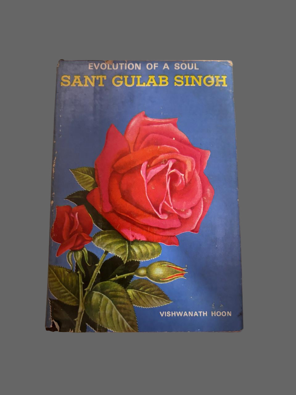 SANT GULAB SINGH By VISHWANATH HOON