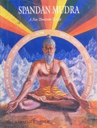 SPANDAN MUDRA A New Dimon De Life By Shri. NARAYAN P. SHINDE    buy used books online