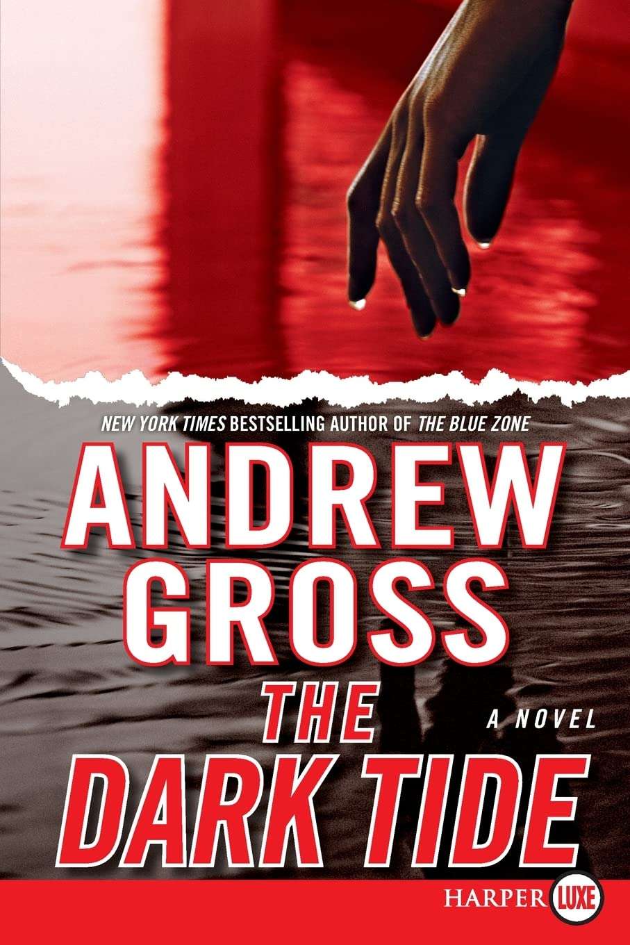 The Dark Tide Paperback by Andrew Gross