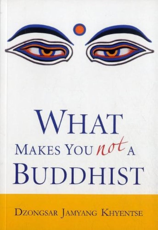 What Makes You Not a Buddhist By Dzongsar Jamyang Khyentse   buy used books online